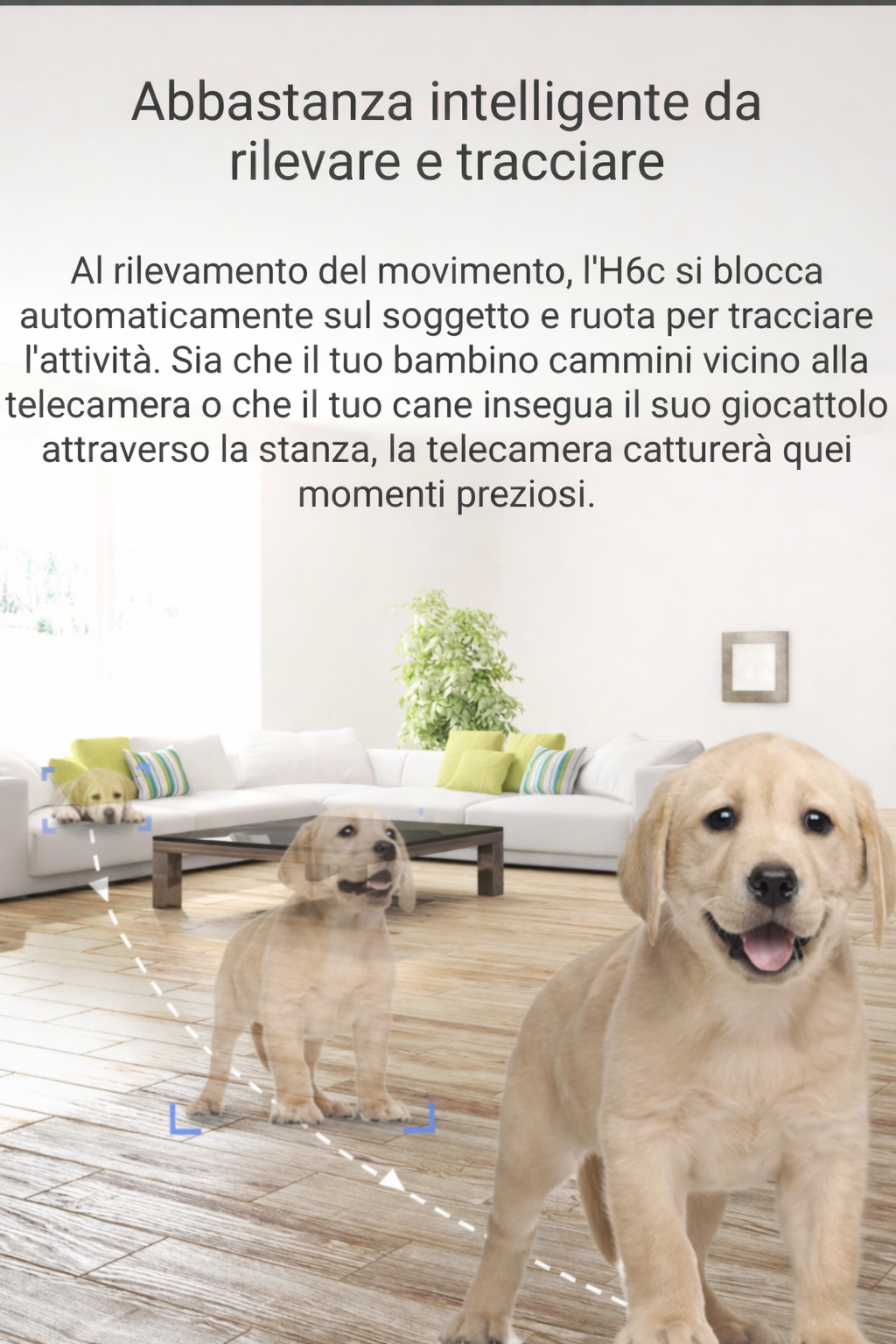 Telecamera WiFi EZVIZ H6c 360° | Controllo Casa, Baby Monitor e Sicurezza Smart